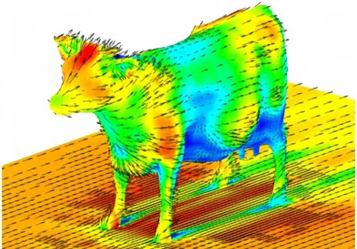 La Aerodinámica de una Vaca. La Aerodinámica de una Vaca.