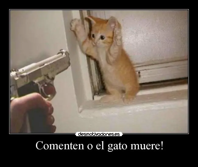 fuerte