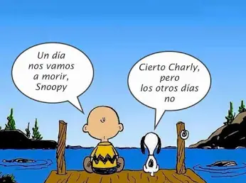 humor