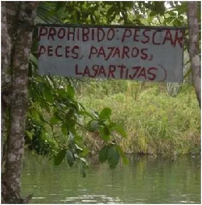 imagenes divertidas