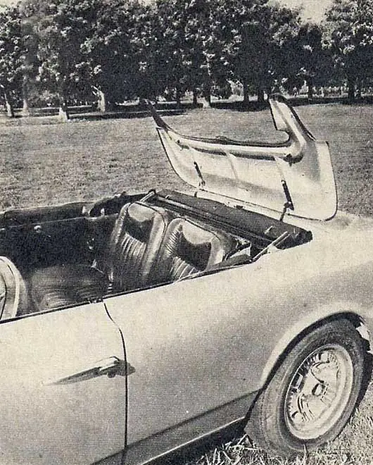 Torino, la historia del toro argentino