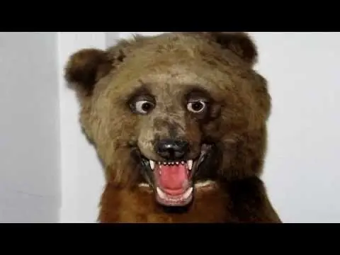 animales