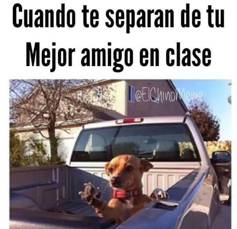 humor negro