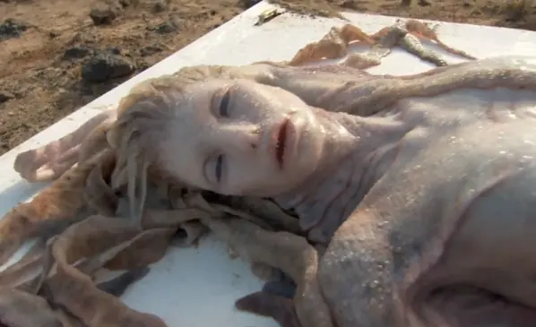 Querias un top encuentran sirena en mexico