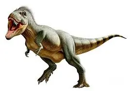 velociraptor
