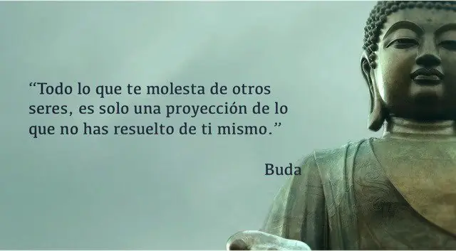 ciencia
