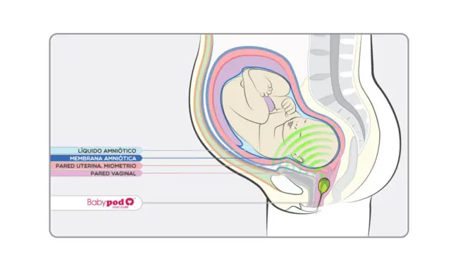 Quieres Convertir tu Vagina en una Sala de Conciertos?