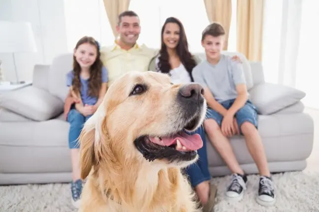 9 Razones por las que una familia debería tener un perro. 9 Razones por las que una familia debería tener un perro.