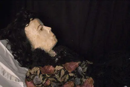 carl von cosel historia