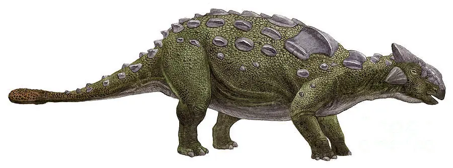 Dinosaurios