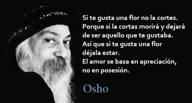 ciencia