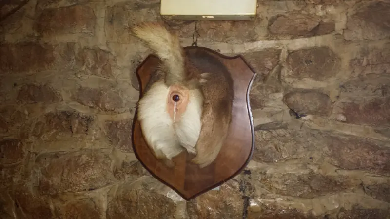 divertido