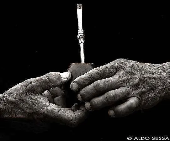 Diez cosas para un buen mate