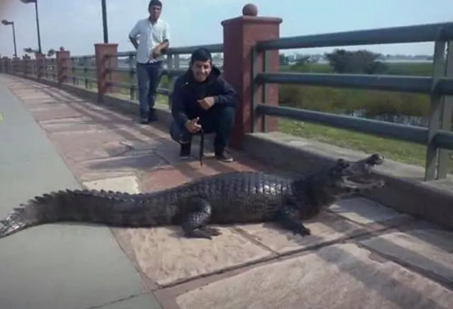 Como entra agua en mi provincia carajo!
