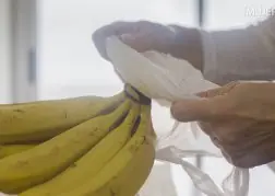 Ahora sabrás cómo conservar un racimo de bananas