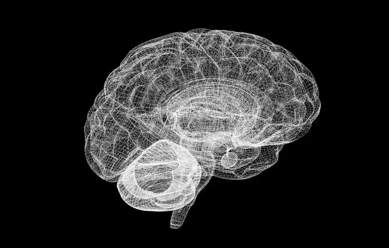 neuronas
