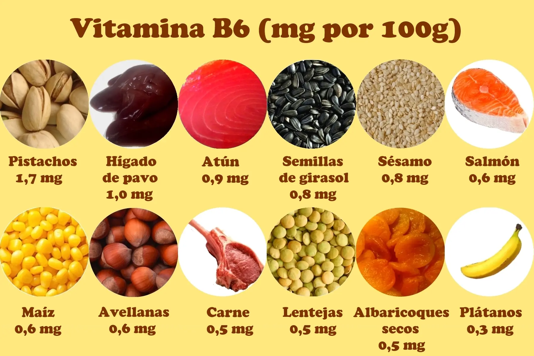 nutricion