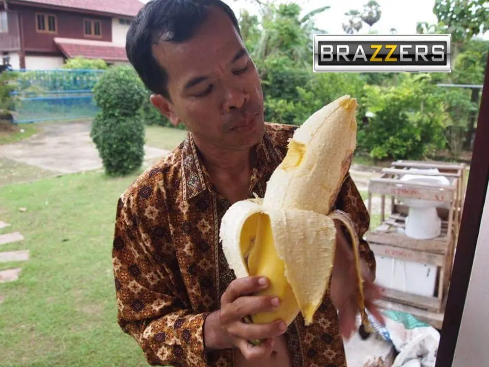50 imágenes inocentes con el logo de Brazzers