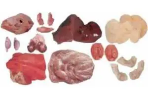 nutricion