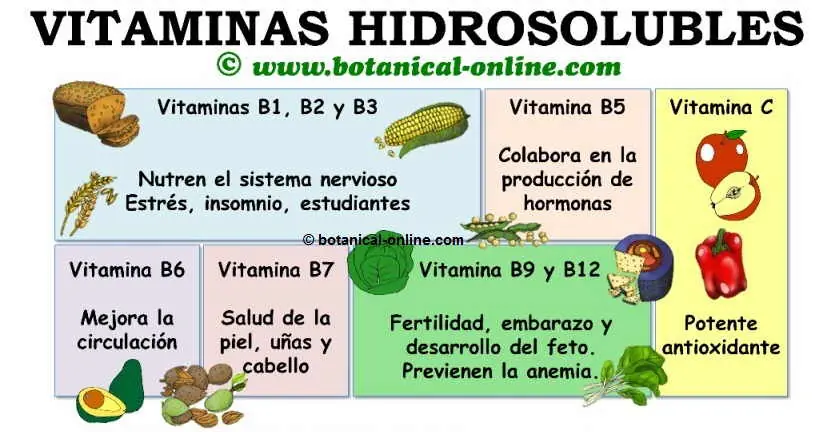 nutricion