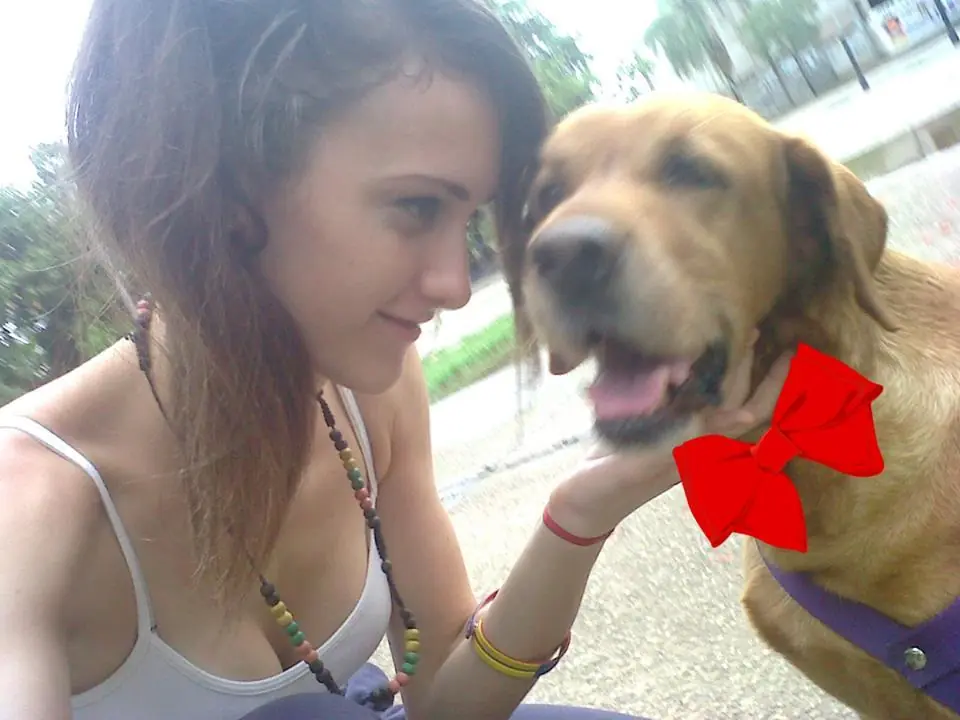 taringa