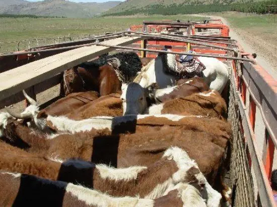 Situaciones frecuentes al viajar en transporte público