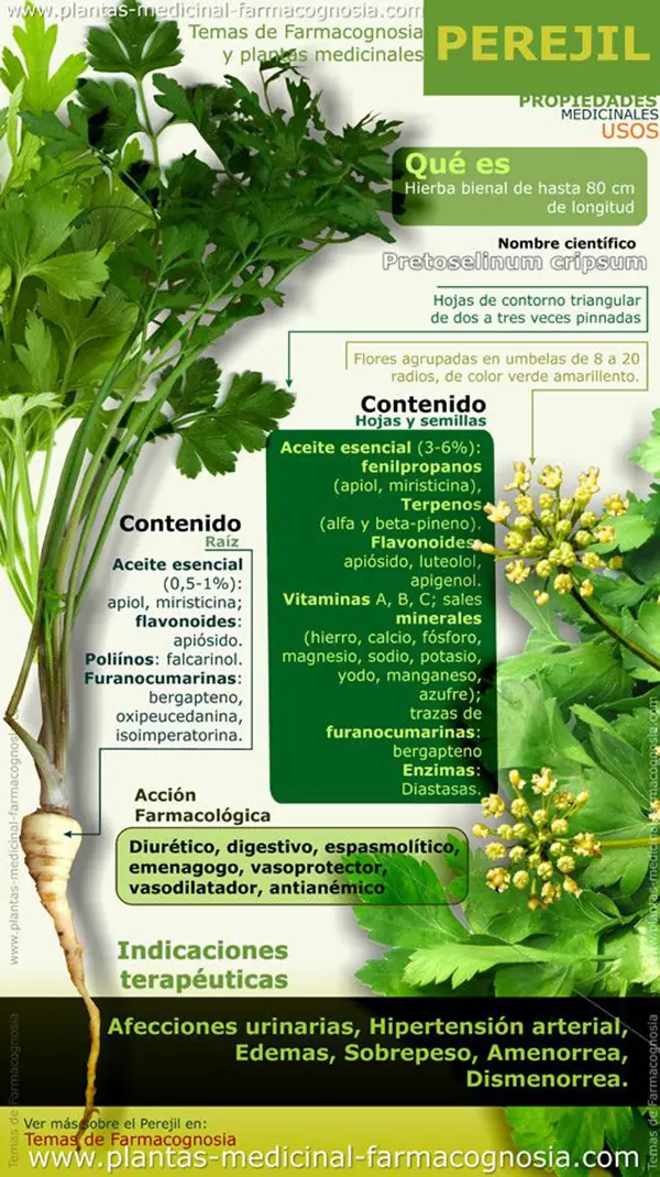 Post para cuidar lo más importante: Tu Vida [Ultramegapost]