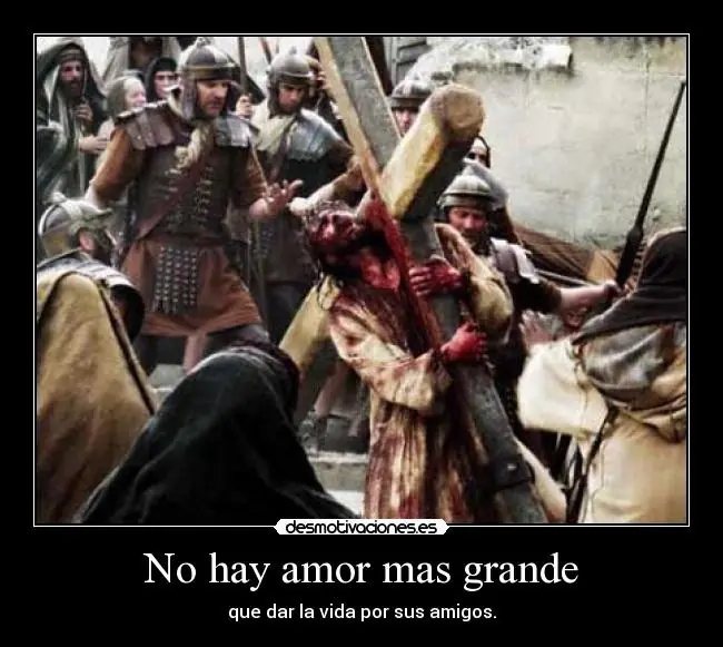 Mirá el Evangelio y Ama a todos, lince...