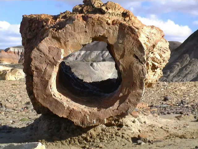 Arboles Milenarios