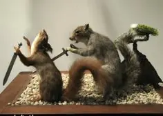 taxidermia