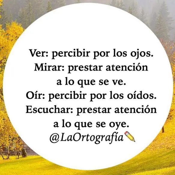 imagenes