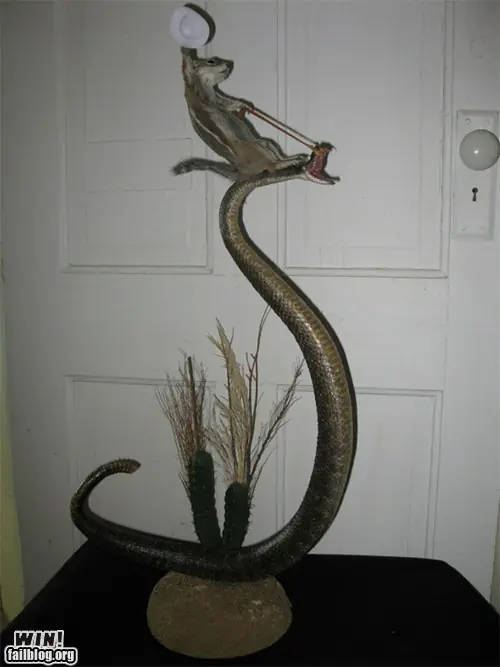 Cuando la taxidermia sale mal (tercera parte)