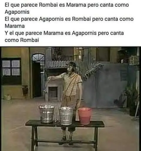 sabado
