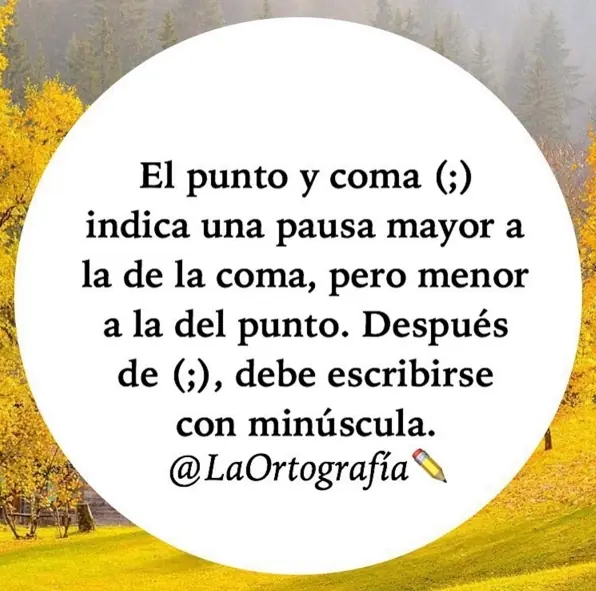Un poco de inteligencia colectiva