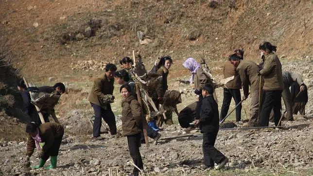 datos d Corea Norte qte harán sentir cerca dl fin dl mundo