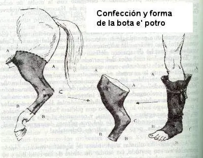 tradicion