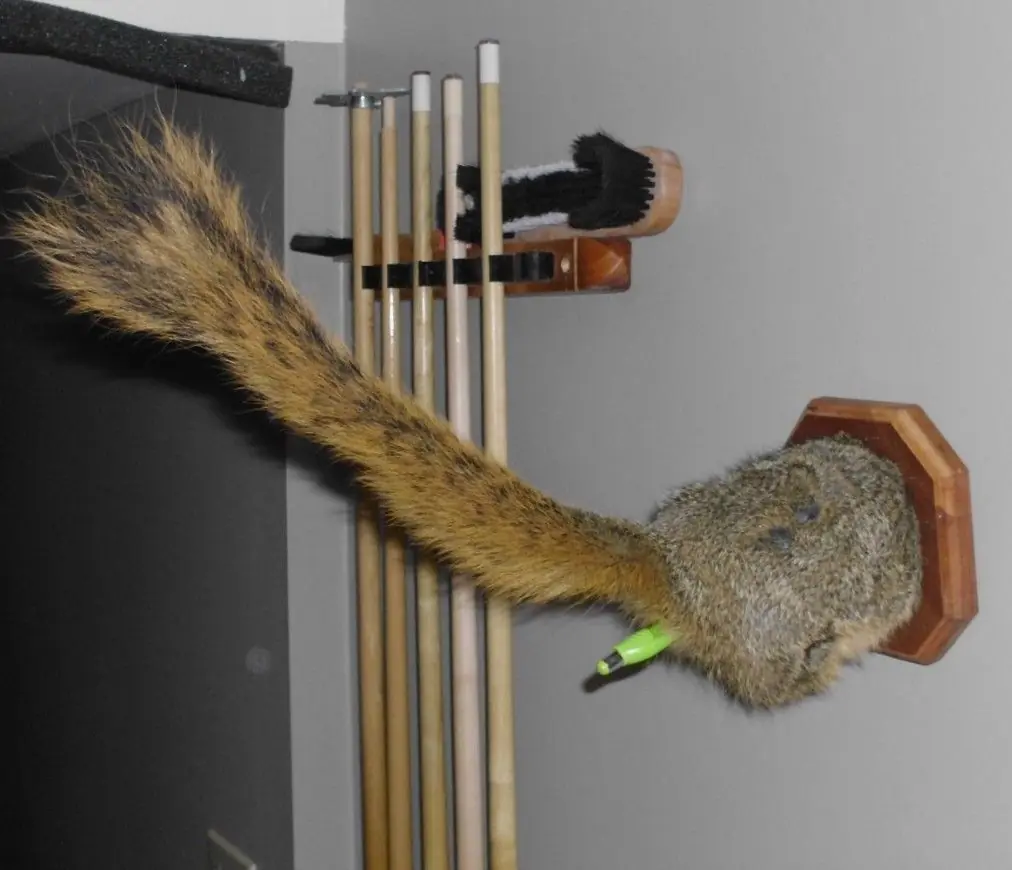 Cuando la taxidermia sale mal (tercera parte)