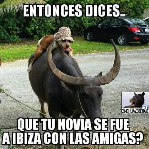 denuncia