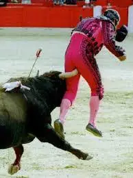 estababuena