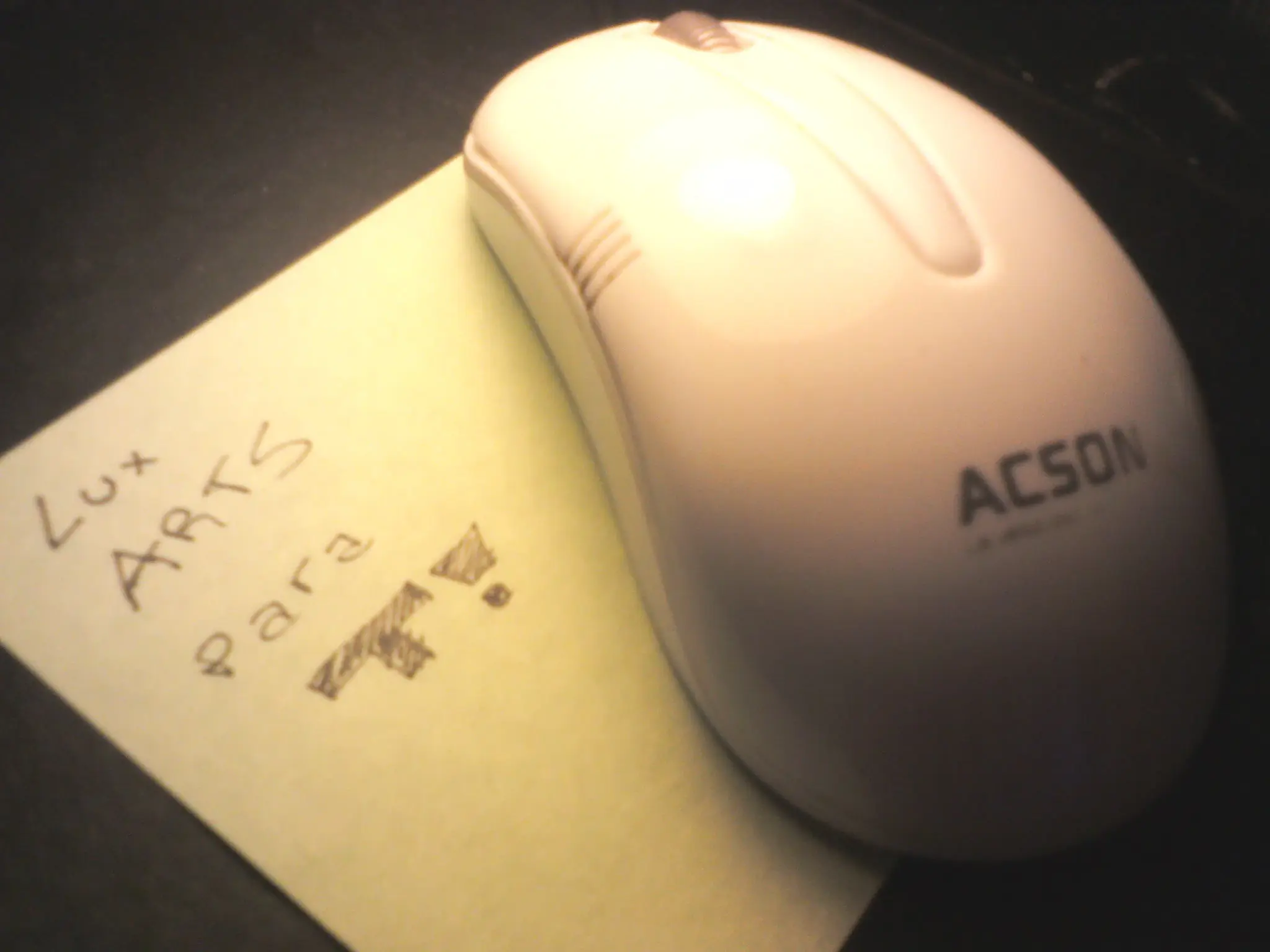 mouse