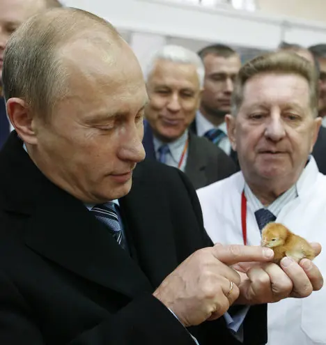 Vladimir Vladimir