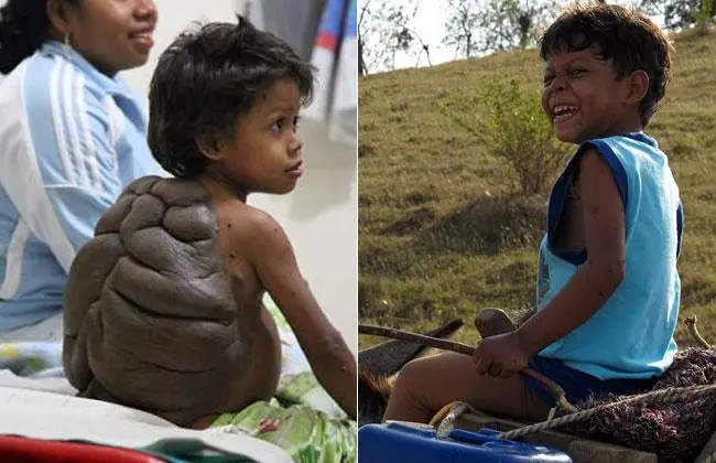 donatello raphael leonardo miguel angel donatello raphael leonardo miguel angel