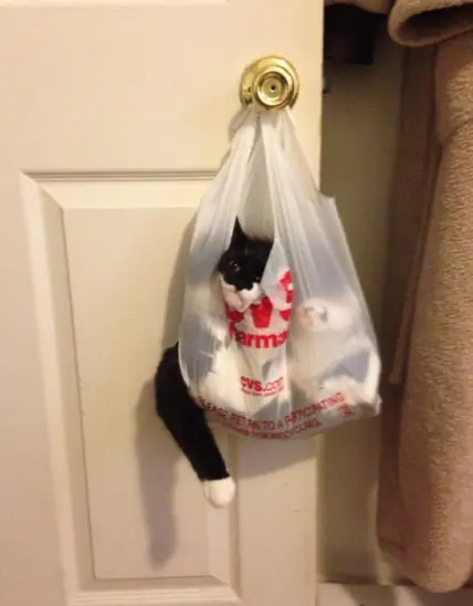 errores que todos cometemos