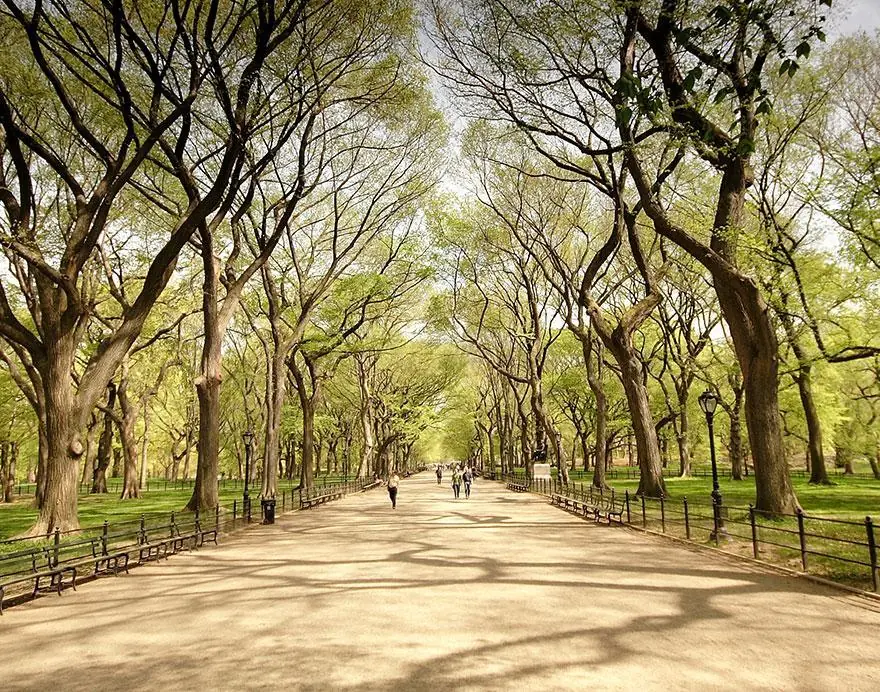 center park center park