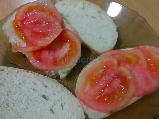 Pan Pan