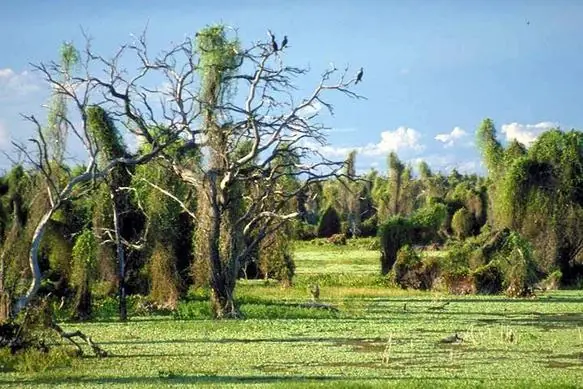 Argentina
