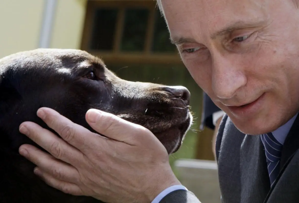 putin putin