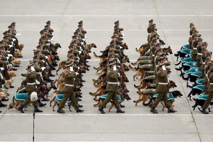 Fuerza de policia de Chile