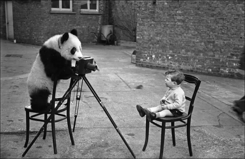 16 Fotos poco conocidas que le darán un giro a tu percepción