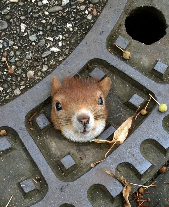 Niños metidos en problemas
